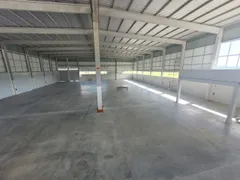 Galpão / Depósito / Armazém para alugar, 1000m² no Alto Bau, Ilhota - Foto 5