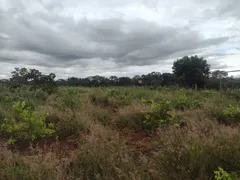 Fazenda / Sítio / Chácara com 3 Quartos à venda, 20000m² no Area Rural do Paranoa, Brasília - Foto 7