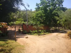 Fazenda / Sítio / Chácara com 3 Quartos à venda, 24200m² no Recreio Floresta, Jaguariúna - Foto 17