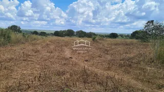 Fazenda / Sítio / Chácara com 2 Quartos à venda, 54250000m² no Zona Rural, Buritizeiro - Foto 16