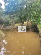 Fazenda / Sítio / Chácara com 3 Quartos à venda, 4000m² no Riacho Grande, São Bernardo do Campo - Foto 10