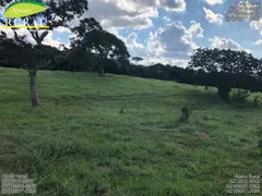 Fazenda / Sítio / Chácara com 5 Quartos à venda, 14907200m² no Zona Rural, Santa Cruz de Goiás - Foto 38