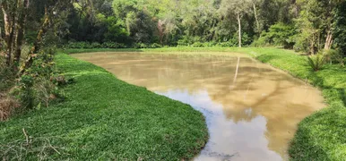 Fazenda / Sítio / Chácara com 3 Quartos à venda, 17000m² no Campestre dos Paulas, Mandirituba - Foto 11