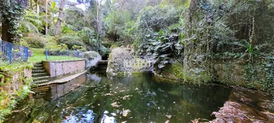 Fazenda / Sítio / Chácara com 4 Quartos para venda ou aluguel, 8115m² no Quebra Frascos, Teresópolis - Foto 6