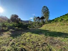 Fazenda / Sítio / Chácara com 1 Quarto à venda, 150000m² no Oliveiras, Tijucas - Foto 6