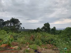 Terreno / Lote / Condomínio à venda no , Linha Nova - Foto 4