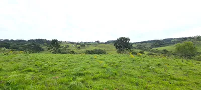 Fazenda / Sítio / Chácara à venda, 150000m² no Centro, São Joaquim - Foto 11