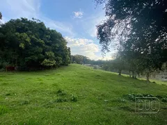 Terreno / Lote / Condomínio à venda, 20000m² no Forqueta, Caxias do Sul - Foto 10