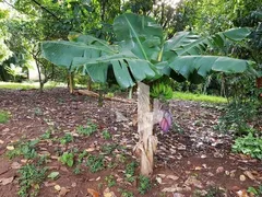 Fazenda / Sítio / Chácara à venda, 150040m² no Zona Rural, Dois Córregos - Foto 15