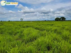 Fazenda / Sítio / Chácara à venda, 61350000m² no Zona Rural, Itiquira - Foto 8