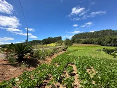 Fazenda / Sítio / Chácara com 2 Quartos à venda, 30000m² no Zona Rural, Campo Alegre - Foto 2