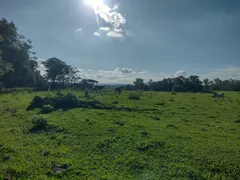 Fazenda / Sítio / Chácara à venda, 121100m² no Zona Rural, Porangaba - Foto 2