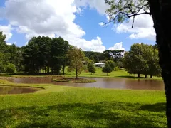 Fazenda / Sítio / Chácara com 3 Quartos à venda, 330000m² no Zona Rural, Três Coroas - Foto 11