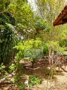 Fazenda / Sítio / Chácara com 4 Quartos à venda, 75000m² no Zona Rural, Bonfinópolis - Foto 29