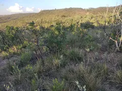 Fazenda / Sítio / Chácara à venda, 20000m² no Recanto das Emas, Brasília - Foto 4