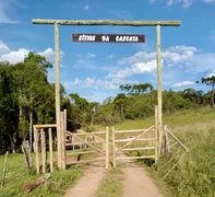 Fazenda / Sítio / Chácara à venda, 2000m² no Criúva, Caxias do Sul - Foto 3