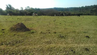 Fazenda / Sítio / Chácara à venda, 12900m² no Distrito Industrial do Lageado, Salto - Foto 11