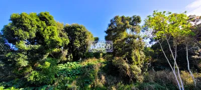 Casa de Condomínio com 5 Quartos para alugar, 500m² no Jardim Botânico, Rio de Janeiro - Foto 18