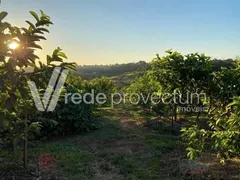 Fazenda / Sítio / Chácara com 3 Quartos à venda, 250m² no Reforma Agraria, Valinhos - Foto 9
