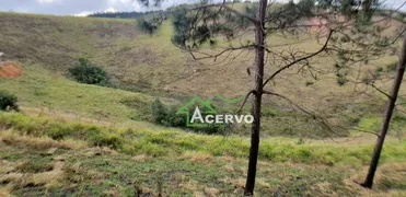 Terreno / Lote / Condomínio à venda, 21750m² no Grama, Juiz de Fora - Foto 4