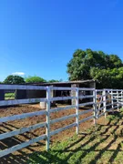 Fazenda / Sítio / Chácara com 4 Quartos à venda, 130m² no Zona Rural, São José de Mipibu - Foto 24