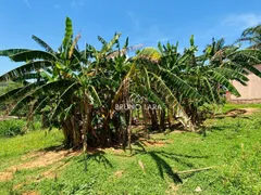 Fazenda / Sítio / Chácara com 4 Quartos à venda, 443m² no Nossa Senhora da Paz, São Joaquim de Bicas - Foto 50