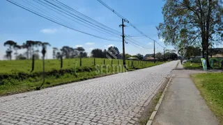 Terreno / Lote Comercial para alugar, 20000m² no Rio Pequeno, São José dos Pinhais - Foto 13