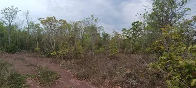 Fazenda / Sítio / Chácara com 4 Quartos à venda no Centro, Jangada - Foto 9