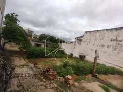 Terreno / Lote / Condomínio à venda, 723m² no Cascata, Marília - Foto 3