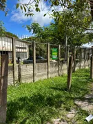 Terreno / Lote / Condomínio à venda, 5000m² no Ipanema, Porto Alegre - Foto 16