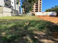 Apartamento com 4 Quartos à venda, 120m² no Ouro Preto, Belo Horizonte - Foto 7