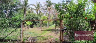 Fazenda / Sítio / Chácara com 3 Quartos à venda, 90m² no Zona Rural, José Bonifácio - Foto 32