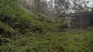 Fazenda / Sítio / Chácara à venda, 20000m² no Zona Rural, Virgínia - Foto 10