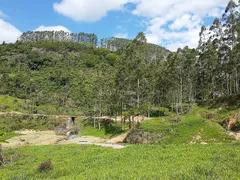 Terreno / Lote / Condomínio à venda, 20100m² no , Coronel Pacheco - Foto 6