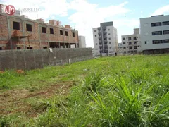 Terreno / Lote / Condomínio à venda, 560m² no FAG, Cascavel - Foto 2