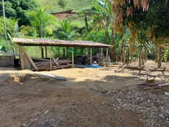 Fazenda / Sítio / Chácara com 3 Quartos à venda, 5000m² no Comunidade Urbana de Rio Grande, Guarapari - Foto 13