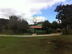 Fazenda / Sítio / Chácara com 4 Quartos à venda, 265000m² no Formigueiro, Araucária - Foto 1