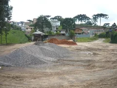 Terreno / Lote / Condomínio para alugar, 3276m² no Diamantino, Caxias do Sul - Foto 2