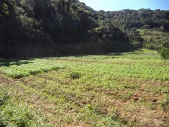 Fazenda / Sítio / Chácara com 3 Quartos à venda no Providencia, Teresópolis - Foto 3