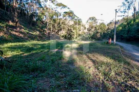 Terreno / Lote / Condomínio à venda, 6742m² no Pedro do Rio, Petrópolis - Foto 6