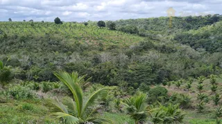 Fazenda / Sítio / Chácara com 4 Quartos à venda, 900000m² no Centro, Valença - Foto 12