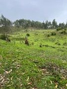 Terreno / Lote / Condomínio à venda, 1000m² no Rio Comprido, Jacareí - Foto 1