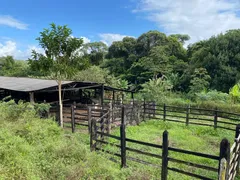 Fazenda / Sítio / Chácara com 4 Quartos à venda, 900000m² no Zona Rural, Itanagra - Foto 18