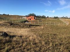 Fazenda / Sítio / Chácara à venda, 3000m² no Vila Seca, Caxias do Sul - Foto 4