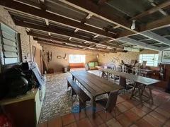 Fazenda / Sítio / Chácara à venda, 80m² no Vila Seca, Caxias do Sul - Foto 5