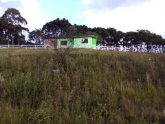 Terreno / Lote Comercial à venda no Galópolis, Caxias do Sul - Foto 3