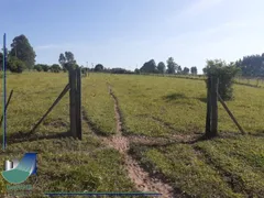 Fazenda / Sítio / Chácara com 3 Quartos à venda, 5m² no Zona Rural, São Simão - Foto 1