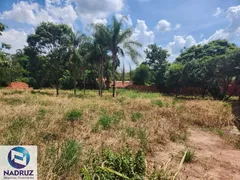 Fazenda / Sítio / Chácara com 1 Quarto à venda, 3808m² no Centro Engenheiro Schmitt, São José do Rio Preto - Foto 12