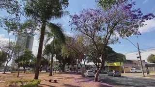 Fazenda / Sítio / Chácara à venda, 1m² no , Palmeiras de Goiás - Foto 8
