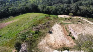 Terreno / Lote / Condomínio com 1 Quarto à venda, 5900m² no Lamenha Pequena, Curitiba - Foto 8